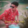 About Gori Aajana Song